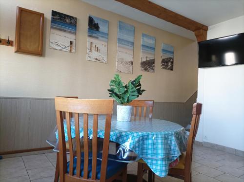 - une table à manger avec une plante en pot dans l'établissement L'écume de mer, au Tréport