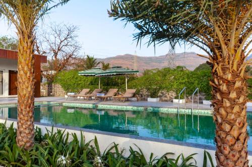 a swimming pool with chairs and a palm tree at Natures Odyssey by StayVista - Amidst lush greenery with Outdoor pool and Indoor activities in Chinchavli