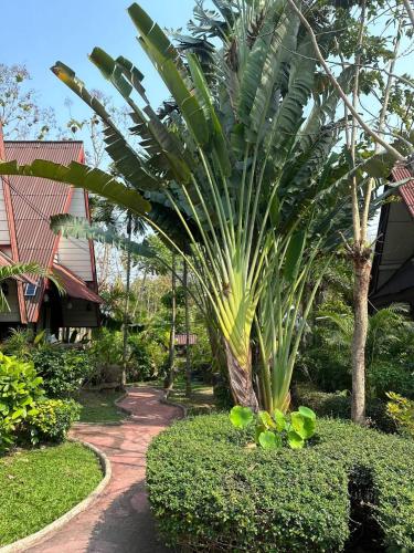 a palm tree in a garden next to a walkway at Soft Resort Kad Farang Hangdong in Ban Yang Plao
