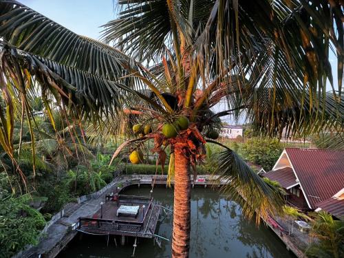 a palm tree next to a body of water at Soft Resort Kad Farang Hangdong in Ban Yang Plao