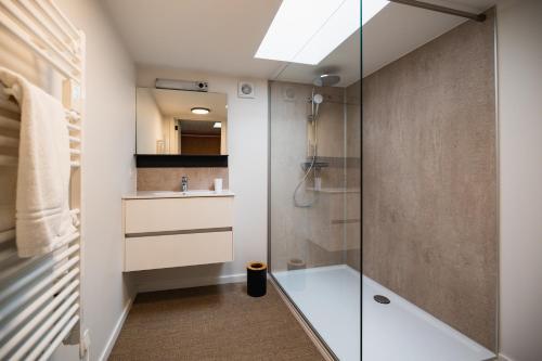 a bathroom with a shower and a sink at Village du Caillou in Dinant