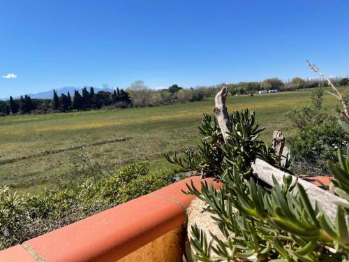 Appartement 2 pièces à Argelès-sur-Mer, 300m de la plage, terrasse, parking, animaux acceptés - FR-1-225-771