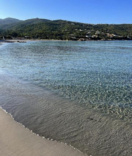 une plage avec une étendue d'eau et une montagne dans l'établissement Appartement à 2mn de la plage du Ruppione, à Pietrosella