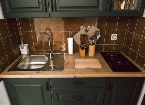 a kitchen counter top with a sink and a sink at Apartments Potočki in Medulin