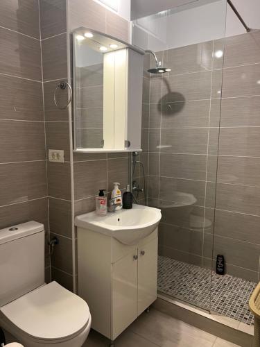 ein Bad mit einem WC, einem Waschbecken und einer Dusche in der Unterkunft Apartament 2 camere in Bukarest