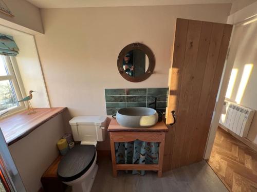 a bathroom with a sink and a toilet and a mirror at Osprey Hide in Forres