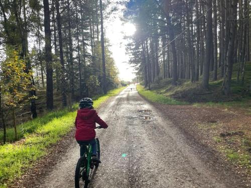 a person riding a bike down a dirt road at Osprey Hide in Forres