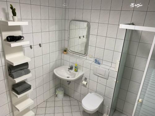 a bathroom with a sink and a toilet and a mirror at Apartment im Grünen bei Koblenz in Vallendar