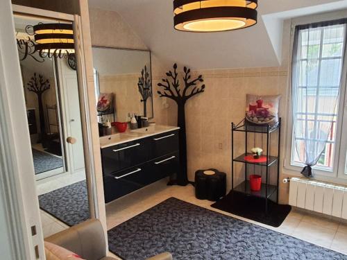 a bathroom with a sink and a large mirror at LES JARDINS DE MA-MANS Maison cosy centre Le Mans PARKING privé gratuit in Le Mans