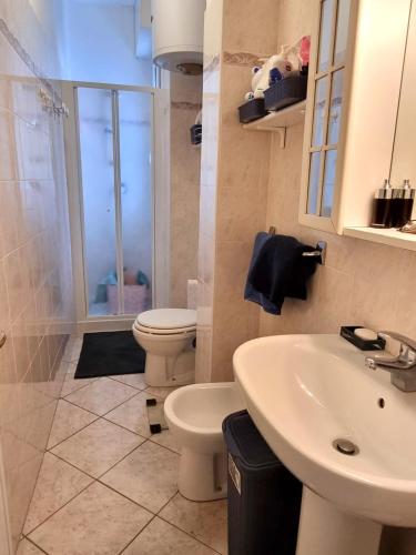 a bathroom with a sink and a toilet and a shower at Aurora 2 in Lido di Pomposa