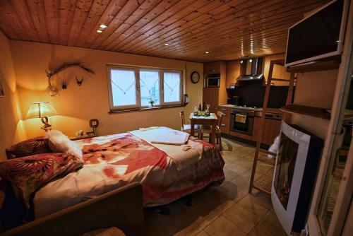 a bedroom with a large bed and a kitchen at Les Chouchous du Ried 3 / Proche Europapark in Saasenheim