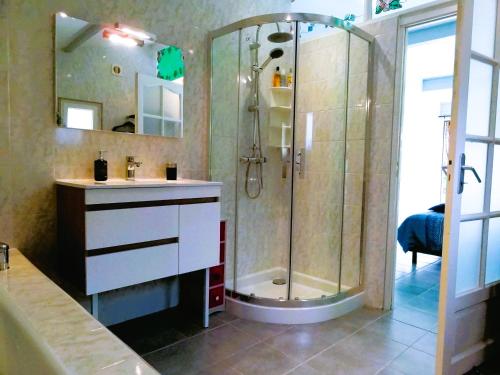 y baño con ducha y lavamanos. en Chambre Indépendante Piscine, Parc, Cuisine..., en Brézilhac