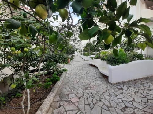 Gallery image of Kela Apartments in Sarandë