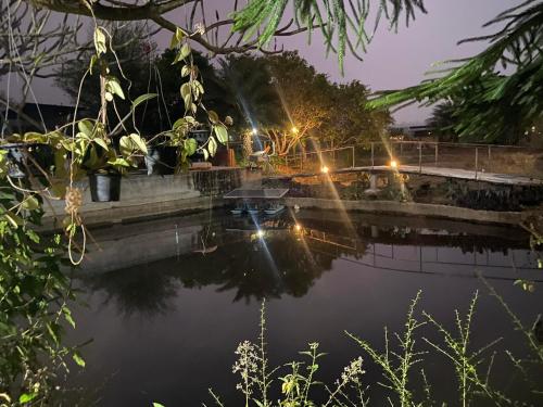 a pond at night with lights in the water at JJ&J Garden in Pai