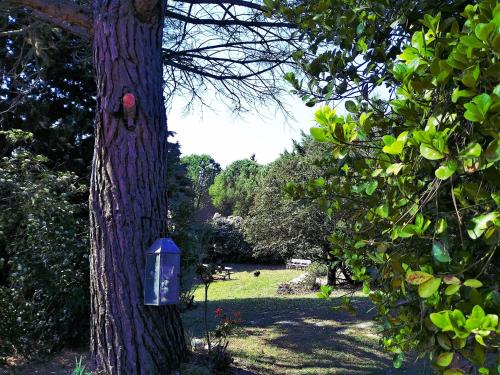 a tree with a blue mailbox next to a tree at Chambre Indépendante Piscine, Parc, Cuisine... in Brézilhac