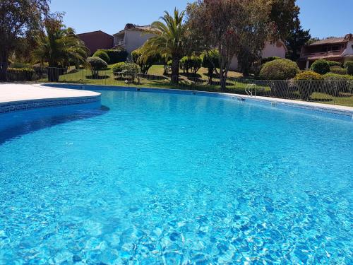 une grande piscine avec de l'eau bleue dans l'établissement APPARTEMENT ORO 11- 1 CHAMBRE - REZ DE JARDIN, à Conca