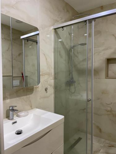 a bathroom with a shower and a white sink at Honey Suite in Tirana