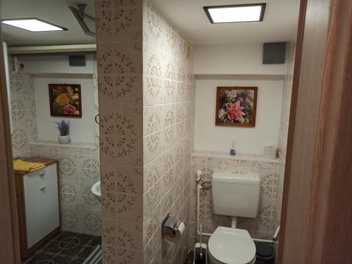 a bathroom with a toilet and a sink at Family apartments "Hamster" up to 7 persons in Zgornja Polskava