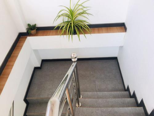a stairwell with a plant in the middle at SILVER RAIL in Galle