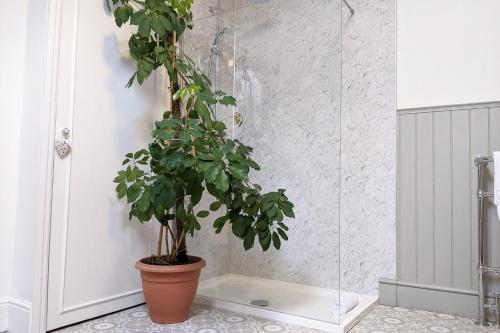 a plant in a pot in a bathroom at Townhouse Apartment Carlisle in Carlisle
