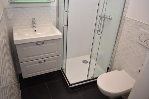 a bathroom with a sink and a shower and a toilet at Alte Post Greifenstein in Greifenstein