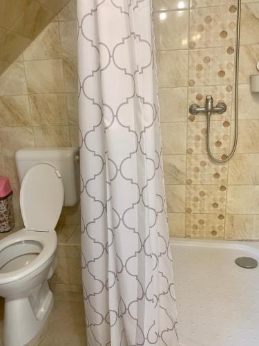 a bathroom with a toilet and a shower curtain at Lelle -kert Apartman 03 in Balatonlelle