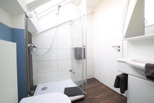 a bathroom with a shower and a toilet and a sink at FerienNest Kelheim in Kelheim