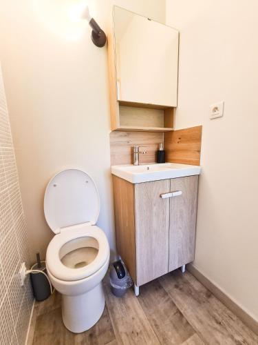 a bathroom with a toilet and a sink and a mirror at Élégante suite à deux pas de la Cité Épiscopale d'Albi in Albi