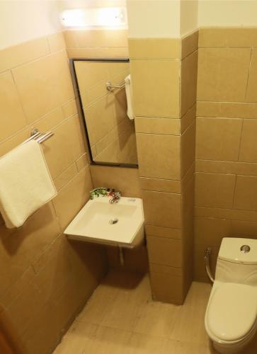 a bathroom with a sink and a toilet and a mirror at Hotel Aeroporto in New Delhi