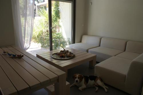 un perro sentado en una sala de estar con mesa de centro en Spathies Maris, en Kalogria