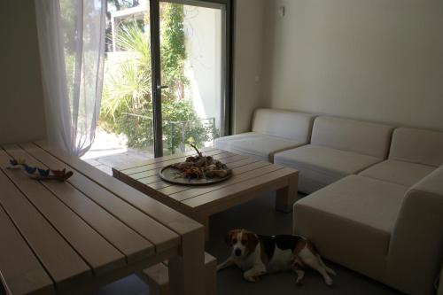 a dog sitting in a living room with a coffee table at Spathies Maris in Kalogria