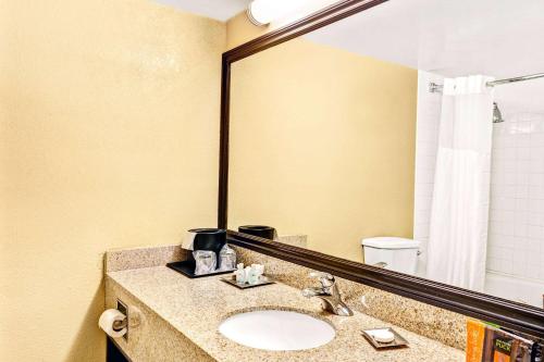 a bathroom with a sink and a large mirror at Wyndham Garden Detroit Metro Airport in Romulus