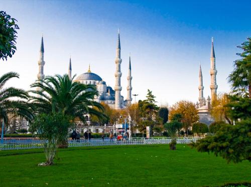 a view of a mosque with a green field and trees at Arges old city hotel in Istanbul