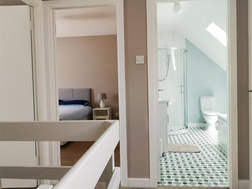 a bathroom with a sink and a toilet in a room at Copper Coast Hideaway in Tramore