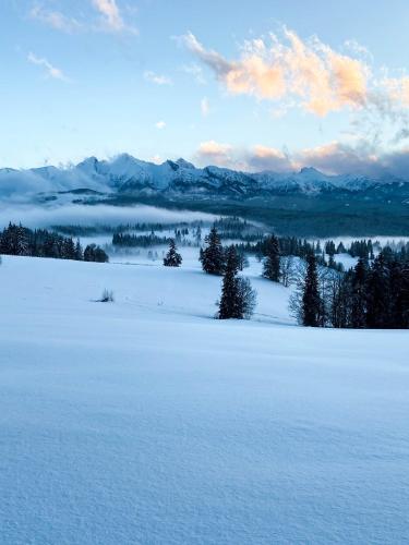 a snow covered field with trees and mountains in the distance at W Sercu Tatr in Rzepiska