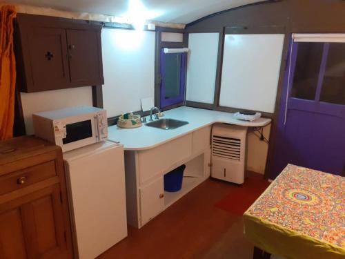 a small kitchen with a sink and a microwave at Casa Vagón en las sierras in Tandil
