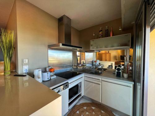 une cuisine avec une cuisinière et un évier dans l'établissement Les Roses by Welcome to Cannes, à Cannes