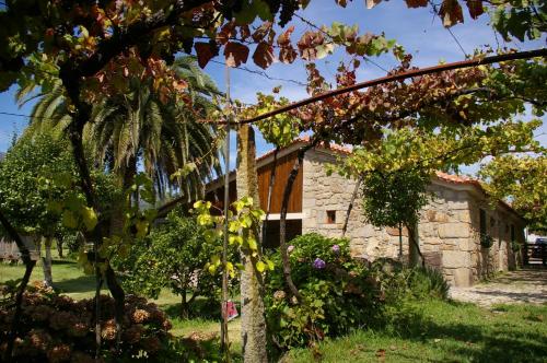 a house with a palm tree and a building at Casa do Tamanqueiro in Ponte de Lima