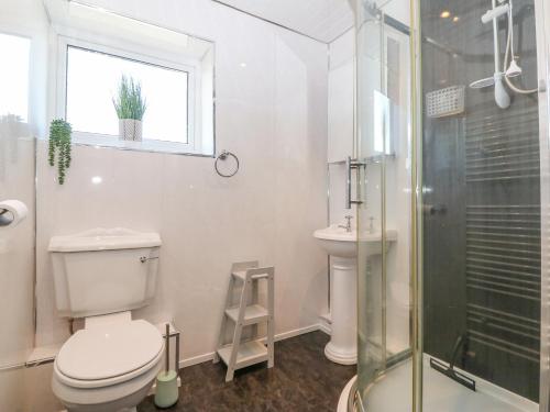 a bathroom with a toilet and a shower and a window at Artro in Cemaes Bay