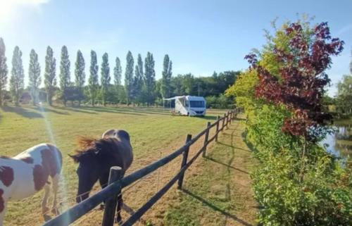 Fotografia z galérie ubytovania Le Pressoir de Gisay Camping Car et Caravane Uniquement v destinácii Gisay
