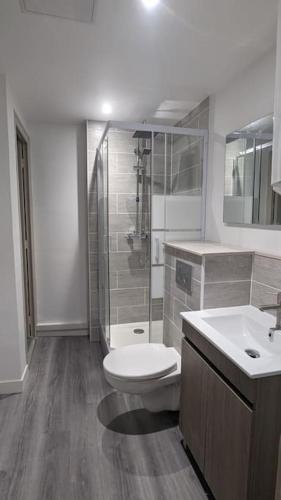 une salle de bain avec toilettes, douche et lavabo dans l'établissement Zen Home - appartement jusqu'à 4 voyageurs, à Nantua