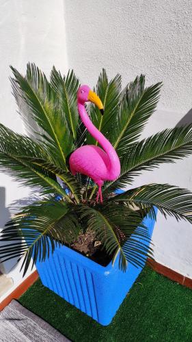 Foto dalla galleria di Casa Flamingo House a San Teodoro