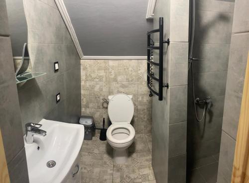 a small bathroom with a toilet and a sink at Хочу в Карпати in Skole