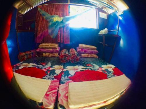 um quarto com 2 camas num quarto azul em Dragon Pearl Beach Resort em Kota Belud