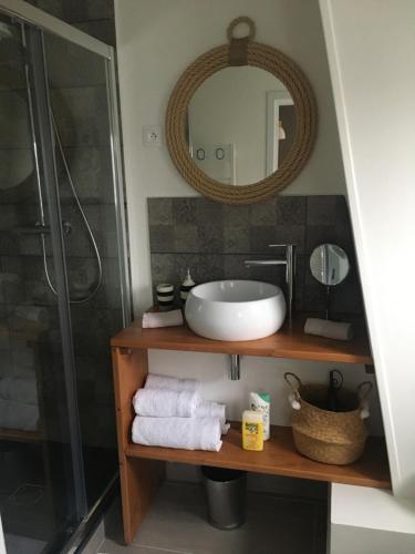 ein Bad mit einem Waschbecken und einer Dusche in der Unterkunft Maison Ulysse in Amiens