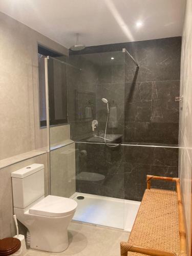 a bathroom with a toilet and a glass shower at Satori Gozo Centre - Apartment Bufo in Xagħra