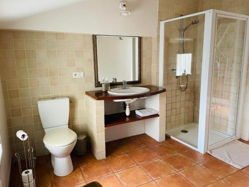 Et badeværelse på Belle maison de ville en bord de Saône