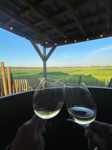 a person holding two glasses of white wine at Noxem b&b in Boesingheliede