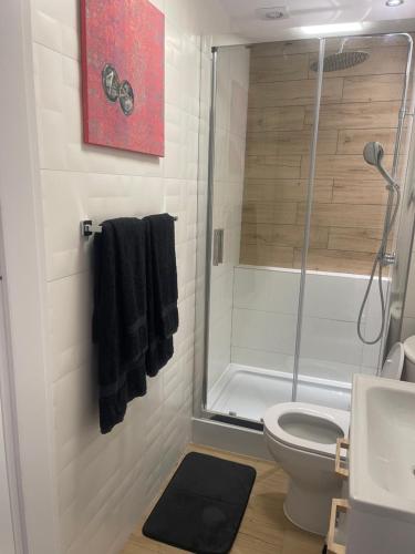 un bagno con doccia, WC e lavandino di MW 7A Apartament a Rzeszów