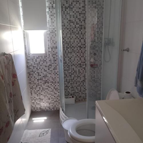 ein Bad mit einer Dusche, einem WC und einem Waschbecken in der Unterkunft La Chichi in Sauce de Portezuelo